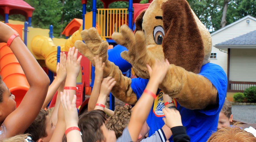All About Camp Rolling Hills Country Day Camp in Freehold, NJ